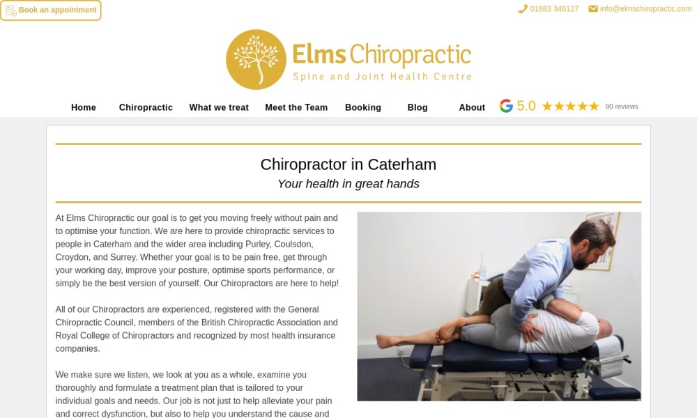 Elms Chiropractic Screenshot
