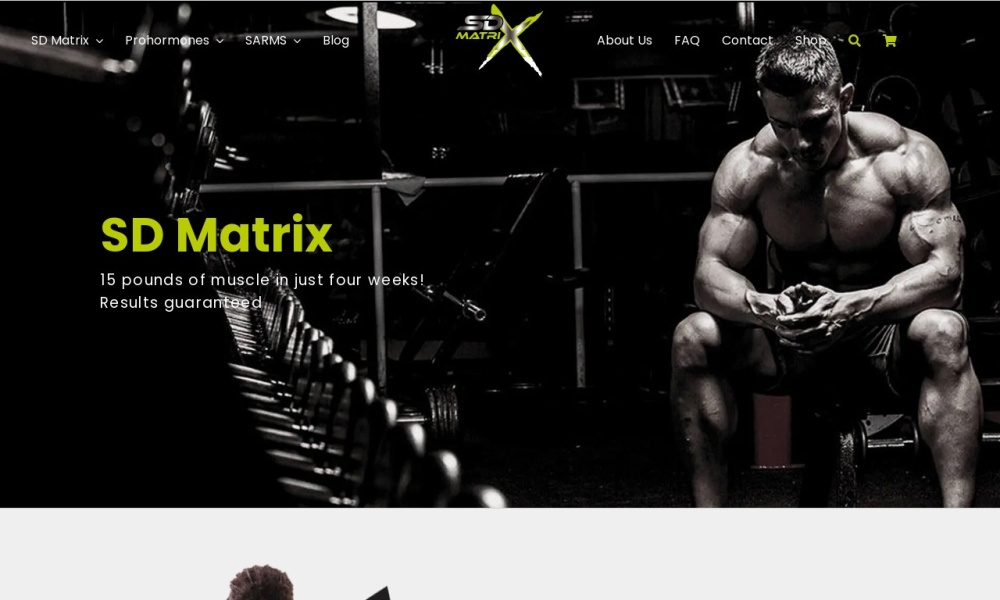 SD Matrix Screenshot