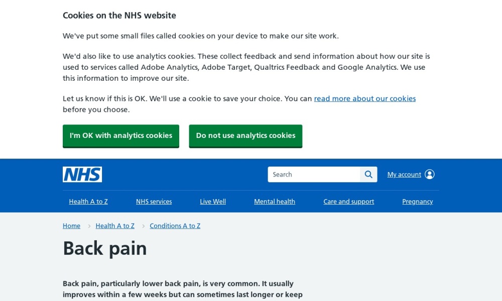 NHS Back Pain Screenshot